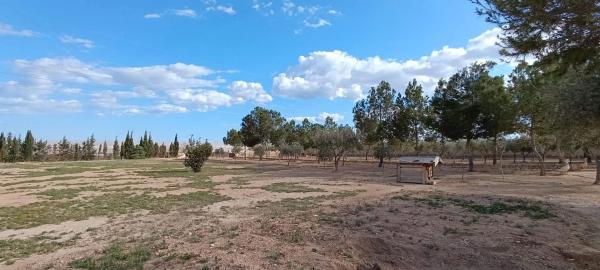 Casa independiente en calle Pi del Moli