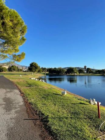 Ático en Bonalba-Cotoveta