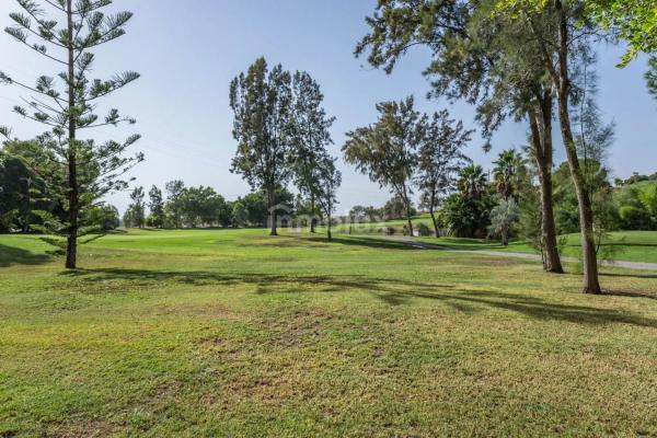 Estudio en calle del Ressol