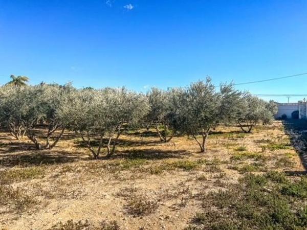 Casa independiente en Partida
