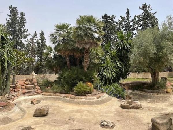 Casa independiente en calle Riu Vinalopó