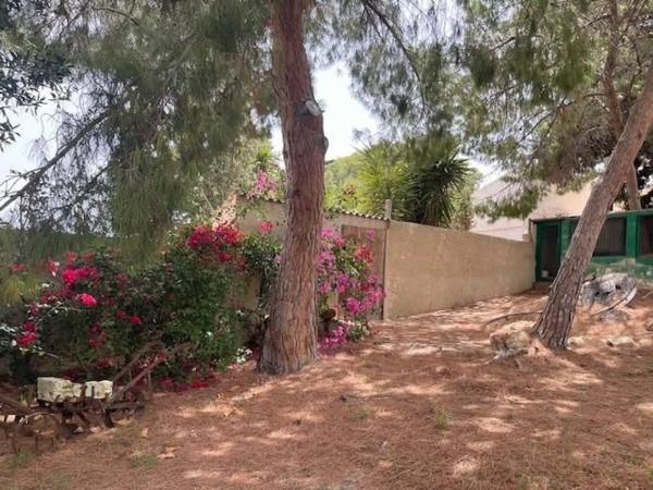 Casa independiente en calle Riu Vinalopó