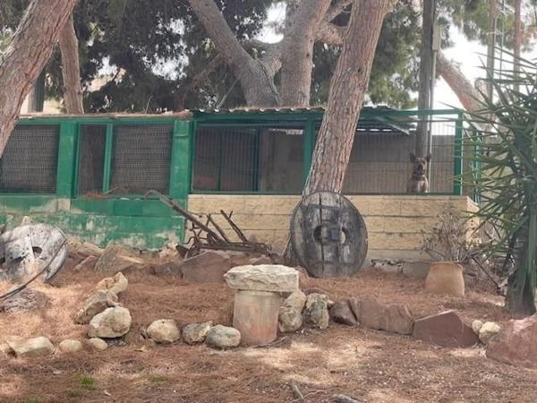 Casa independiente en calle Riu Vinalopó