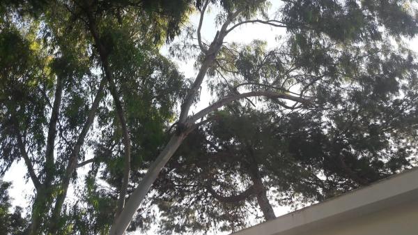 Casa independiente en calle d'Osca, 9