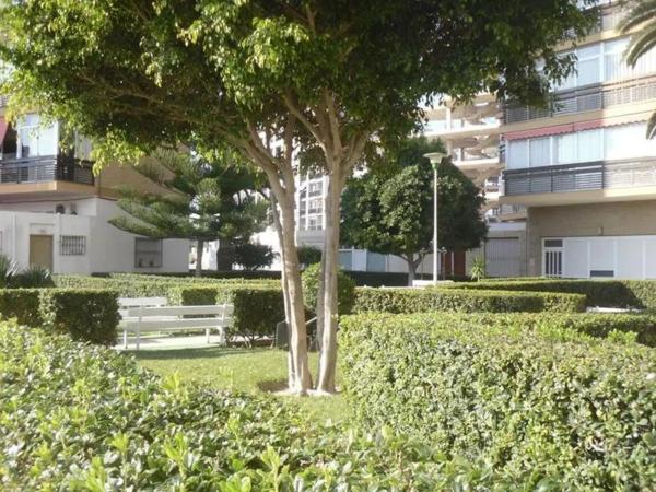 Piso en Playa Muchavista