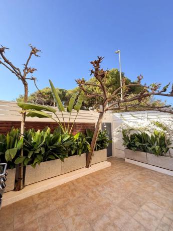 Dúplex en Playa Muchavista