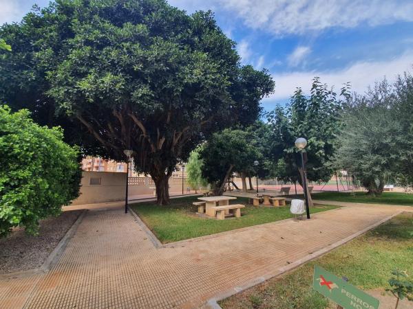 Piso en Severo Ochoa