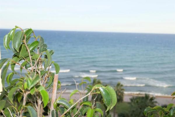 Dúplex en avenida Jaime i el Conquistador, 3