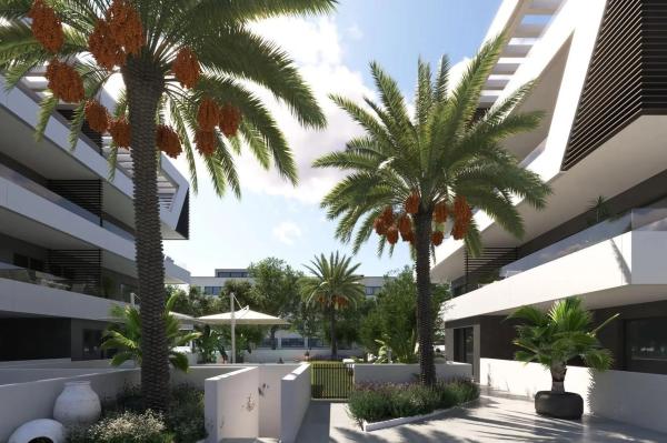 Piso en Bellavista - Capiscol - Frank Espinós