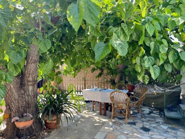 Chalet en Bellavista - Capiscol - Frank Espinós