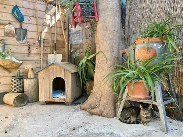 Chalet en Bellavista - Capiscol - Frank Espinós