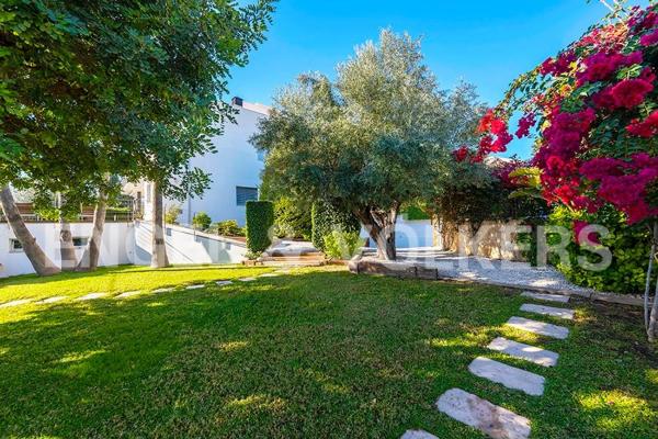 Casa independiente en miguel hernandez