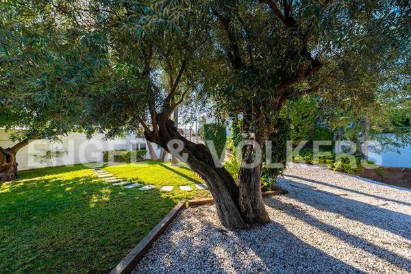 Casa independiente en miguel hernandez