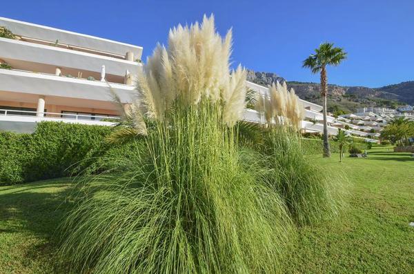 Piso en Altea la Vella