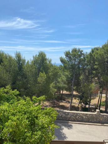 Ático en calle el Lloveret, 21