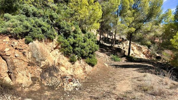 Casa independiente en calle la Guatla, 5