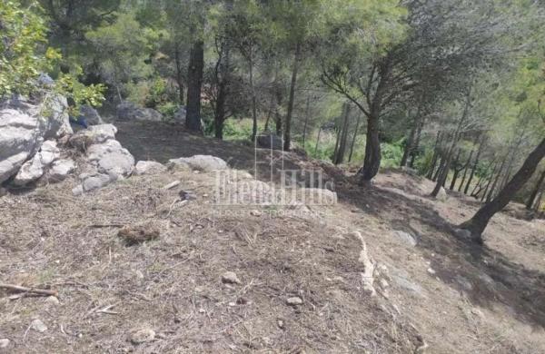 Casa independiente en calle Agret