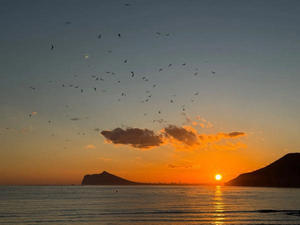 Ático en avenida Gabriel Miró