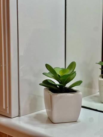 Chalet en calle Monte de Santa Pola