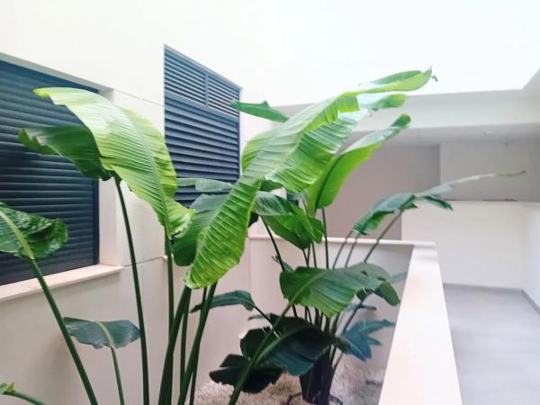 Dúplex en calle Canarias, 4