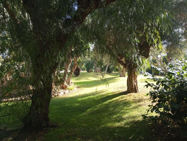 Chalet adosado en avenida del Mediterrani, 68