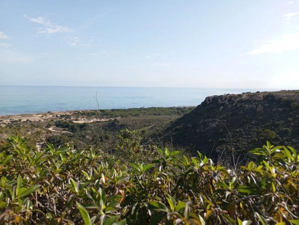 Chalet adosado en avenida del Mediterrani, 68