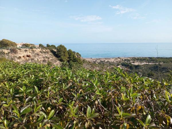 Chalet adosado en avenida del Mediterrani, 68