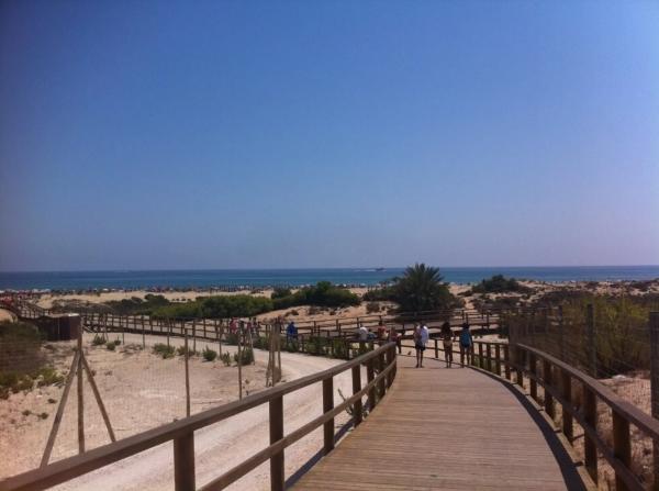 Ático en calle Finlandia, 2