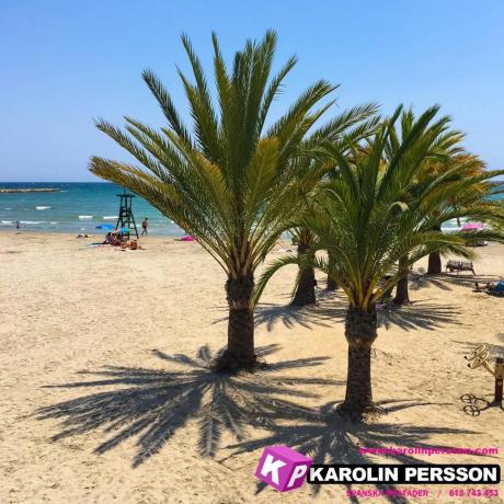 Piso en calle Juan Torres Batiste