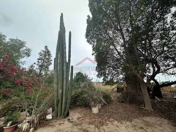 Casa independiente en Partida Torrellano bajo