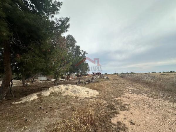 Casa independiente en Partida Torrellano bajo