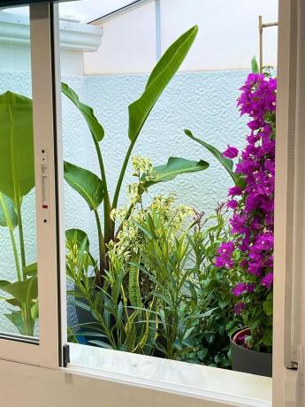 Piso en Monte Faro-Altomar