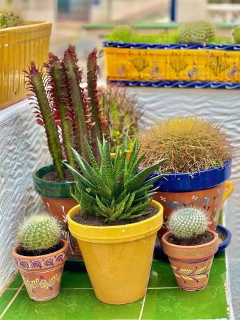 Piso en Monte Faro-Altomar