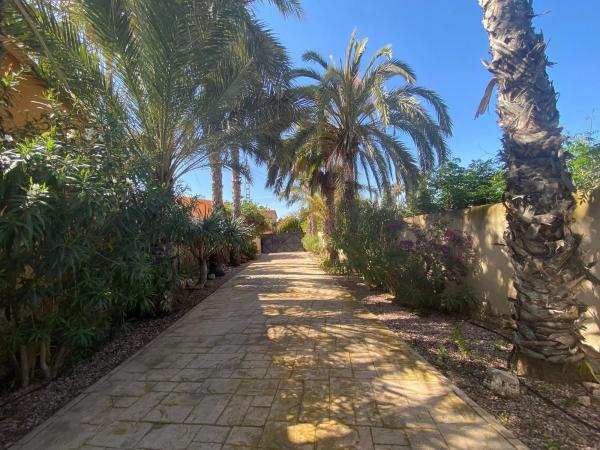 Casa independiente en Partida la Marina, 108