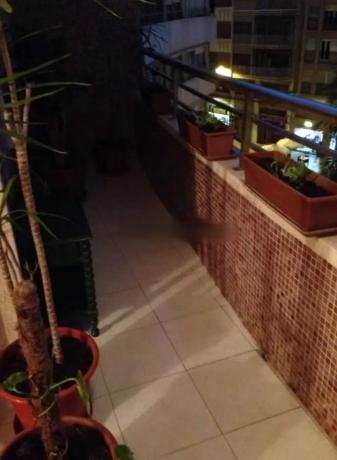 Piso en Barrio Pont Nou-Corazón de Jesús