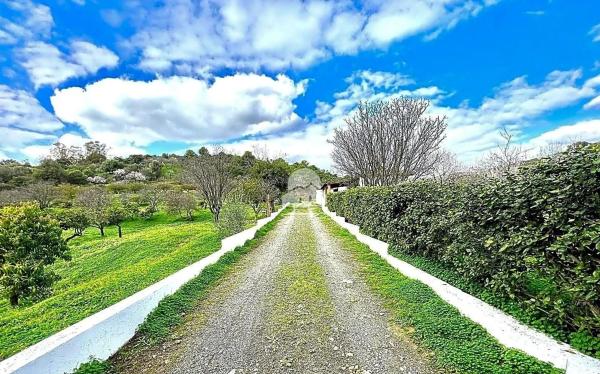 Terreno en Barrio Sierra de Estepona-Avda de Andalucia
