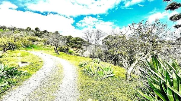 Terreno en Barrio Sierra de Estepona-Avda de Andalucia