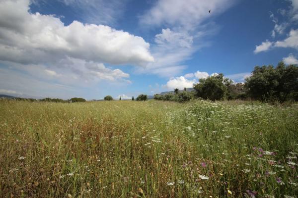 Terreno en calle Urbanización Miralmonte, 201