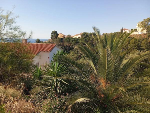 Terreno en calle las Palomas, 11