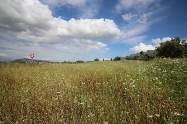 Terreno en calle Urbanización Miralmonte, 201