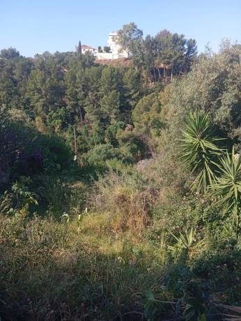 Terreno en calle las Palomas, 11