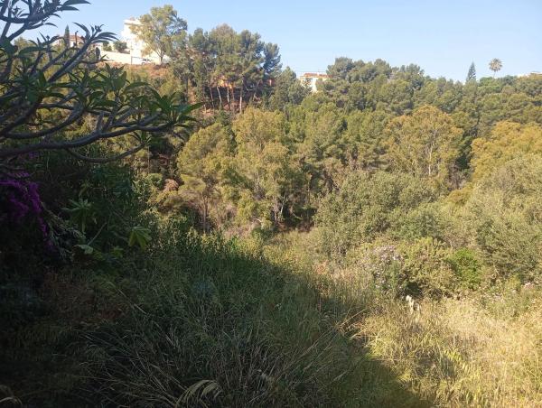 Terreno en calle las Palomas, 11