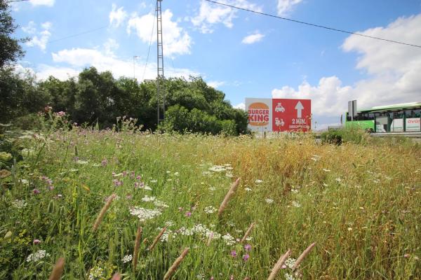 Terreno en calle Urbanización Miralmonte, 201