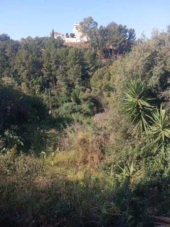 Terreno en calle las Palomas, 11