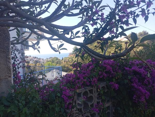 Terreno en calle las Palomas, 11