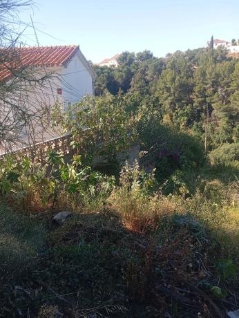 Terreno en calle las Palomas, 11