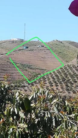 Terreno en calle Almendrillo