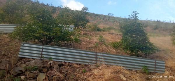 Terreno en calle Almendrillo