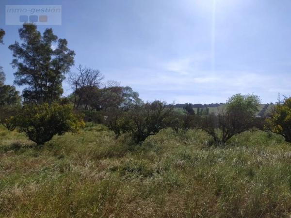 Terreno en Ca-9026, 10