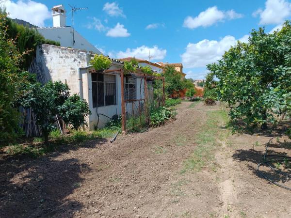 Terreno en Los llanos, polígono 7, parcela 65, 65